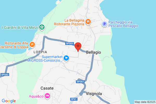 Belagio Car & Limousine Service