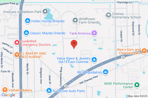 Trinity Tree Service Of Florida