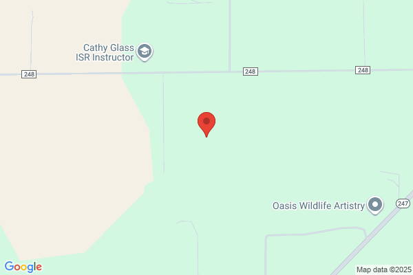 Dotson's Discount Nursery