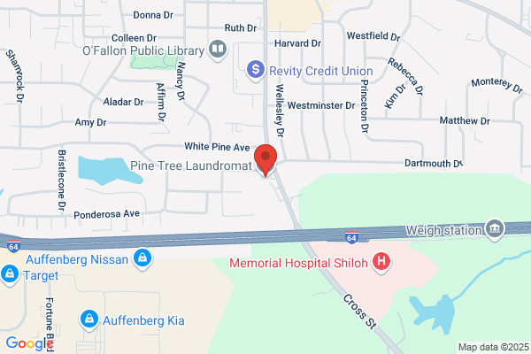 Pine Tree Laundromat