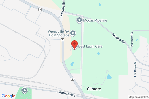 Best Lawn Care