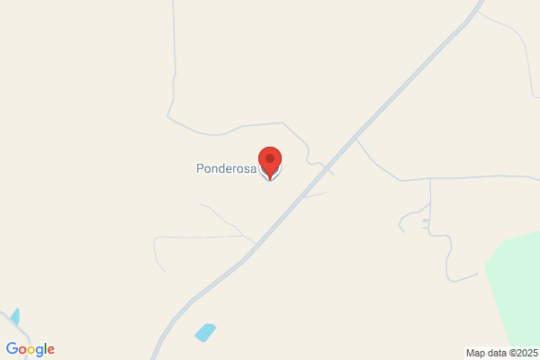 Ponderosa