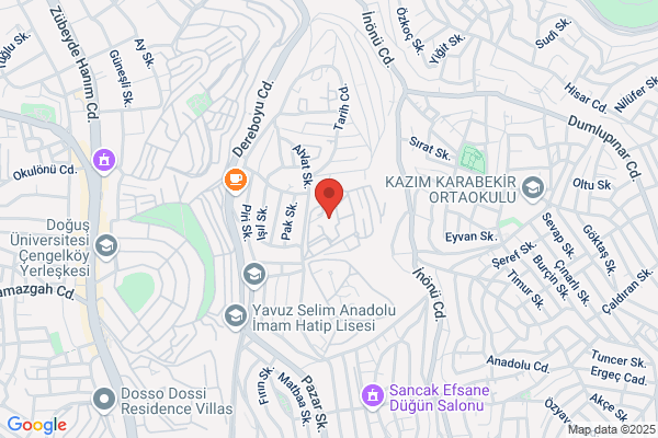 Narya Software Inc