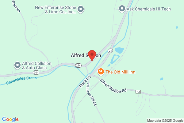 Alfred's Therapy
