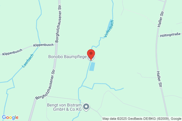 A Cut Above Tree & Stump Removal, Inc.