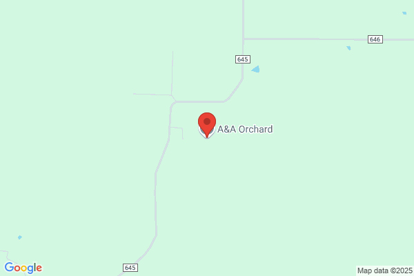 A & A Orchard Market
