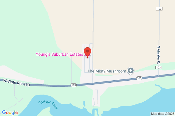 Young's Video Rental & Sales