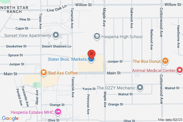AutoZone Auto Parts