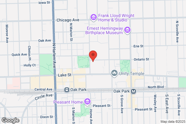 Oakpark Area Lesbian & Gay Association