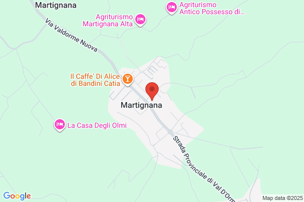 Martin Group the
