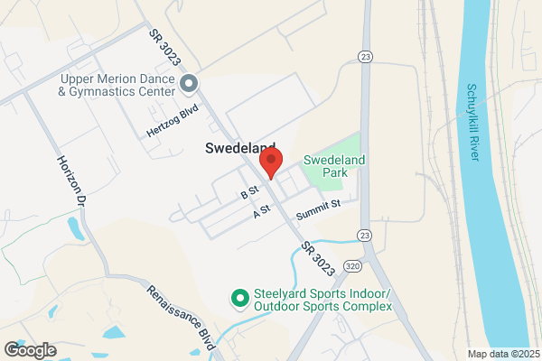 Swedeland Forge Inc