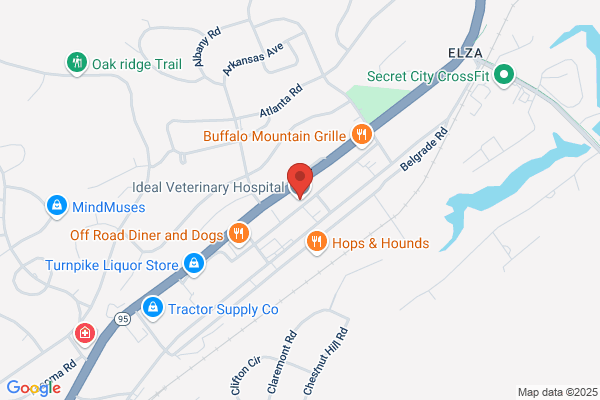 Ideal Veterinary Hospital