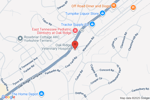 Oak Ridge Veterinary Hospital