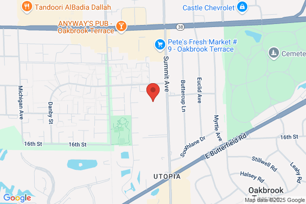Dreyfus Medical Services Inc