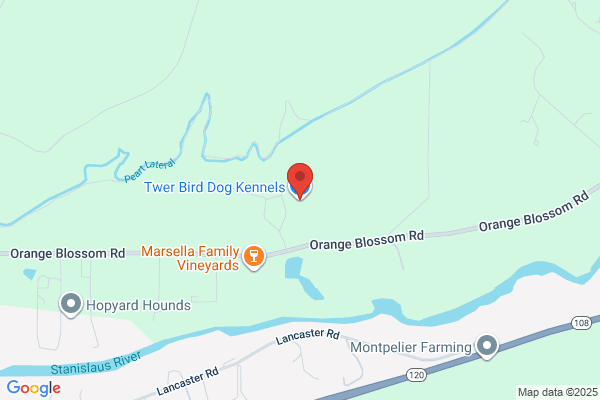 Twer Bird Dog Kennels
