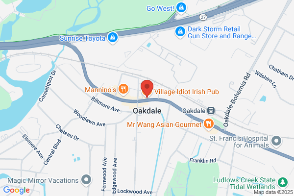 Village Idiot Irish Pub