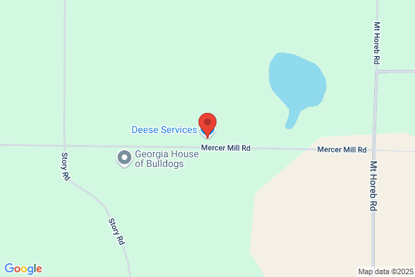 Deese Services Inc
