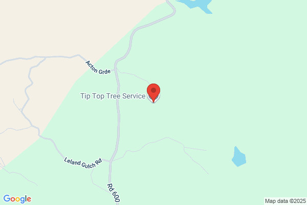 Tip Top Tree Service