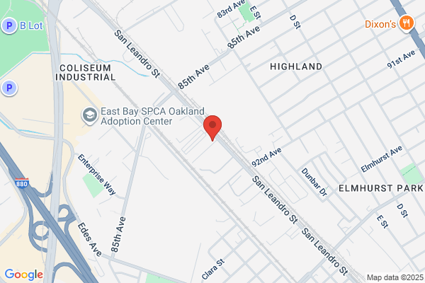 KJ's Auto Body