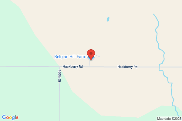 Belgian Hill Farm