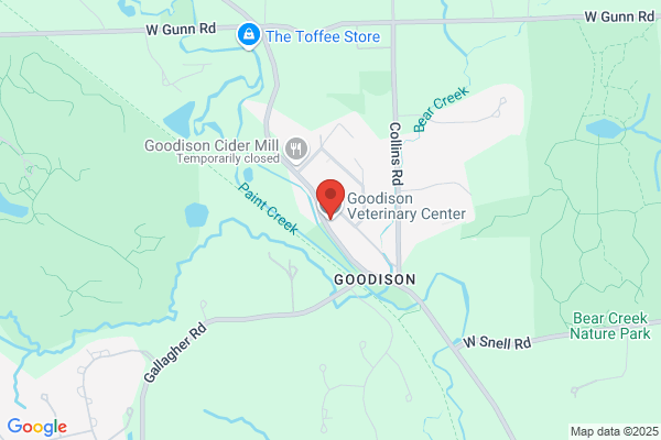 Goodison Child Care Center Inc
