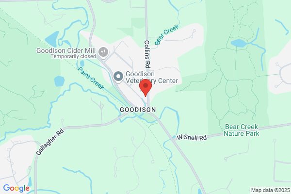 Paint Creek Family Dentistry