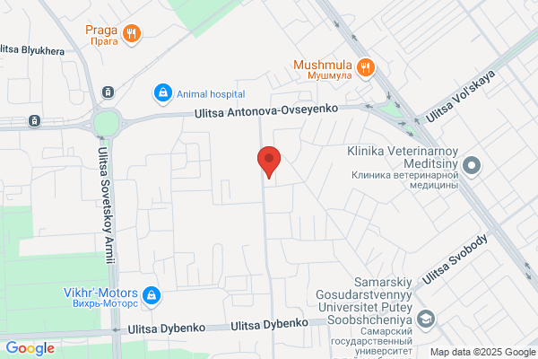 Thermo Service Company
