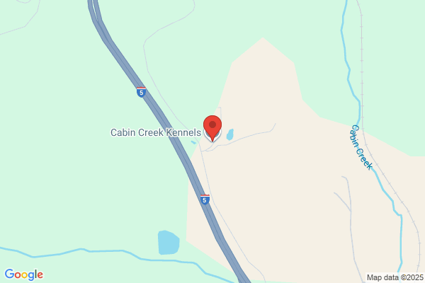 Cabin Creek Kennels