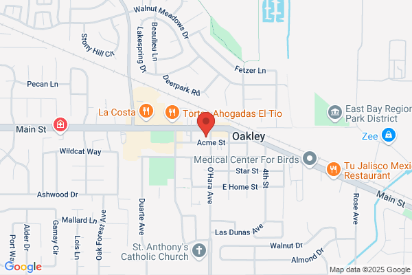 Oakley Auto Repair Service