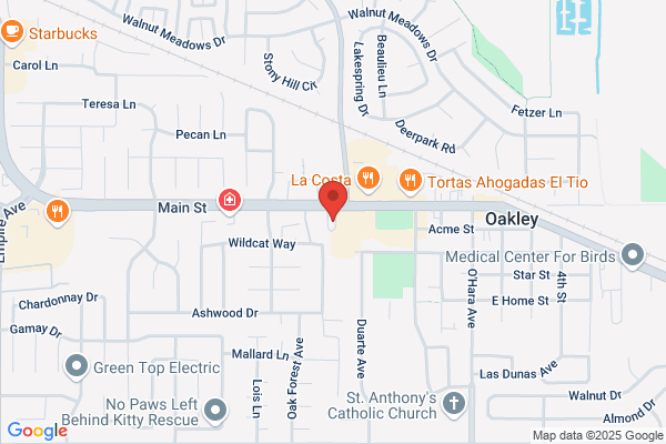 Contra Costa Auto Sales