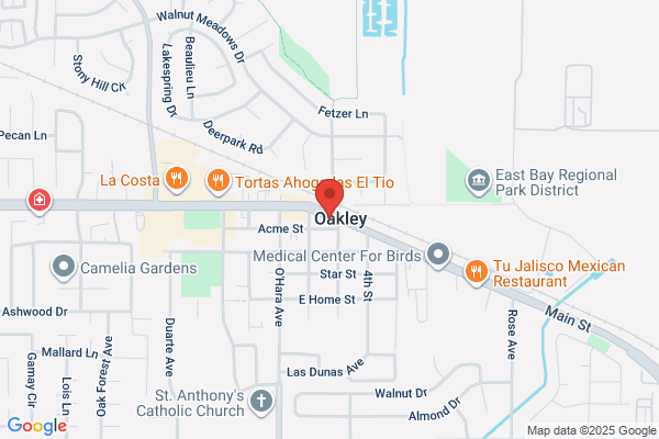 Academy of General Dentistry