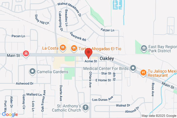 Oakley Auto Outlet