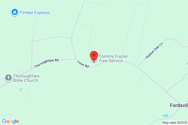 Tommy Frazier Tree Service