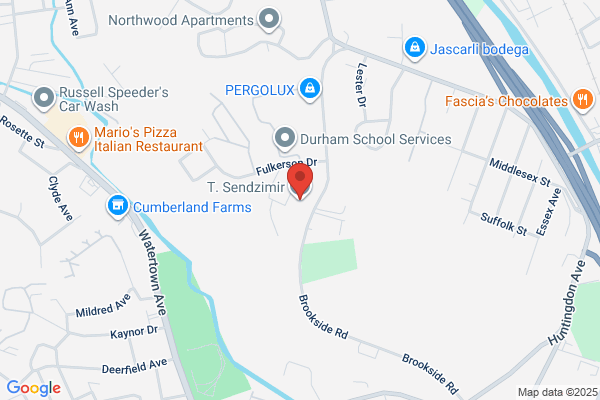 Sendzimir T Inc