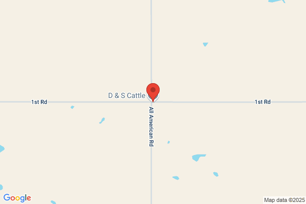 D & S Grain & Cattle Co Inc