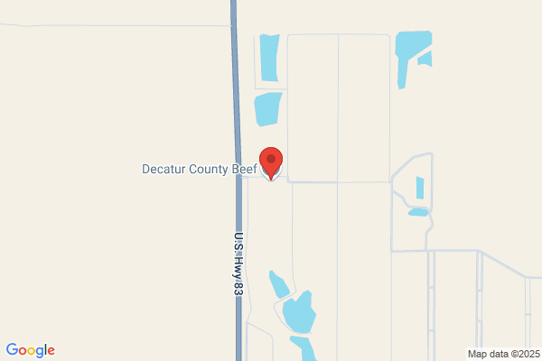 Decatur County Feed Yard Llc