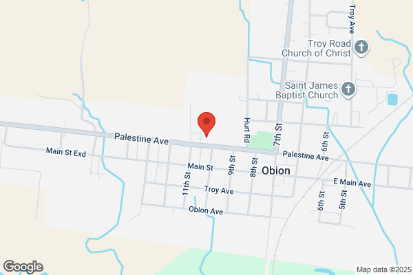 Obion Farmers Cooperative, Obion Store