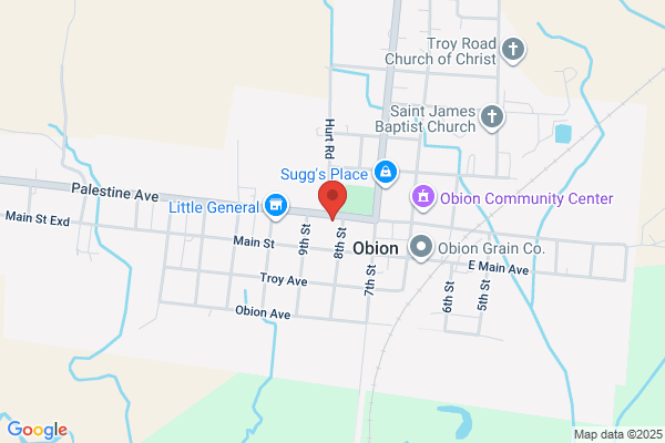 Obion Town of, Fire Dept