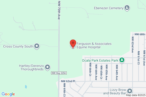 Ferguson & Associates Equine Hospital