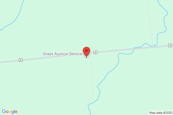 Grays Auction Services