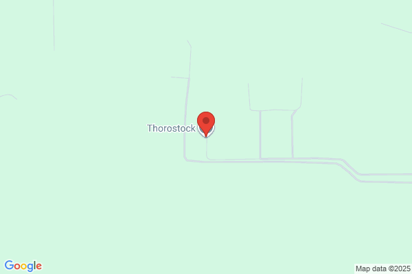Thoroughstock Inc