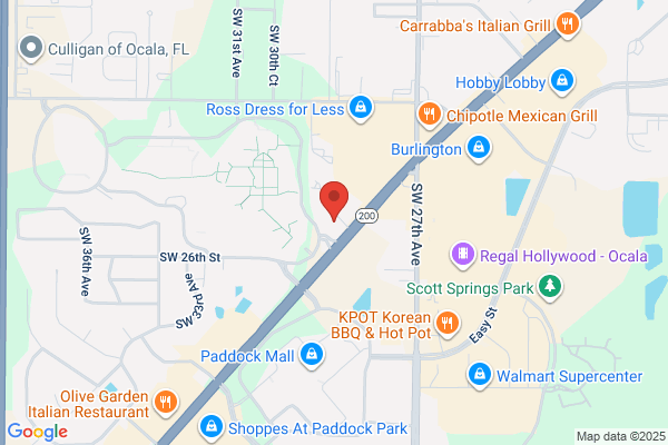 Advance Auto Parts