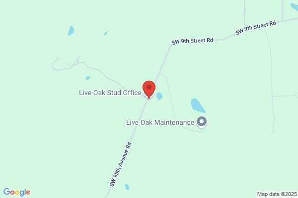 Live Oak Stud Yearling Barn