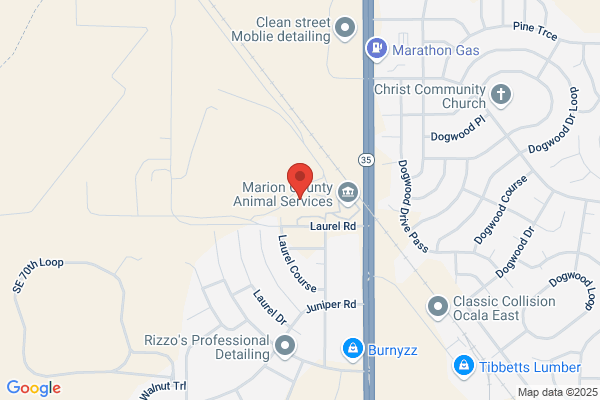 Marion County of, Board of County Commission Departments, Solid Waste Department, Recycling