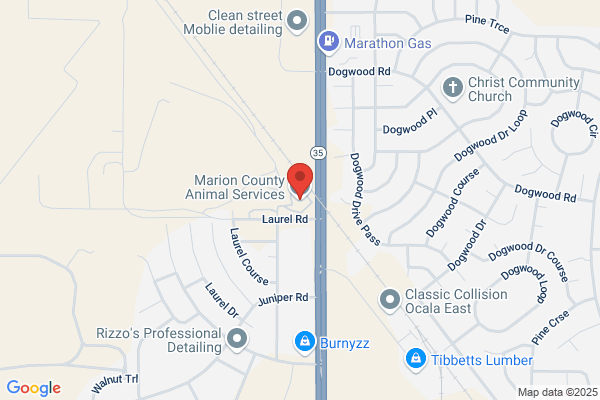 Ocala Animal Control