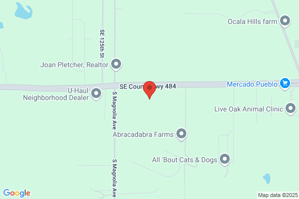 Thoroughbred Ace Hardware Inc