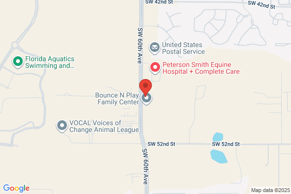 Airport Rd Animal Clinic Inc