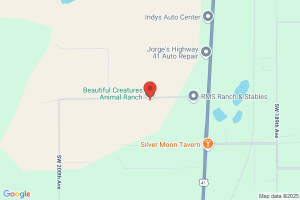 Dunnellon Exotic Bird Farm