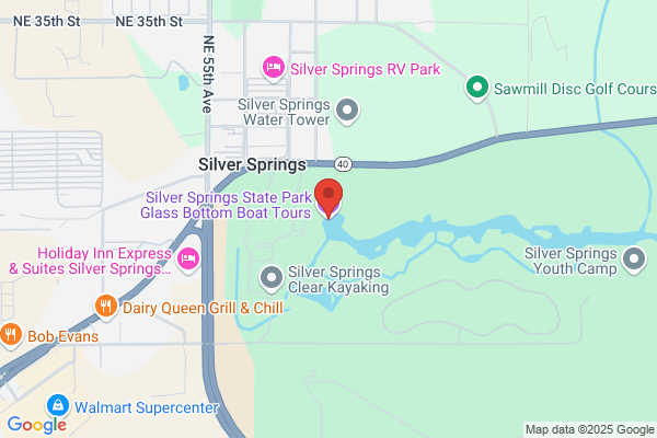Silver Eagle Charter