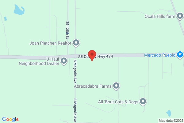 Storage Depot of Ocala